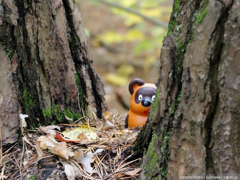 Доигрались. Как заблудиться в лесу, не выходя из дома