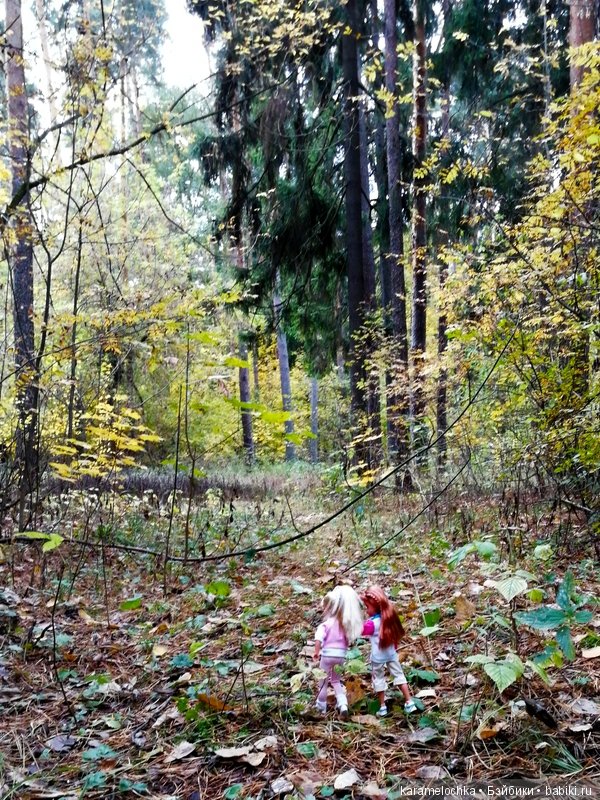 Доигрались. Как заблудиться в лесу, не выходя из дома