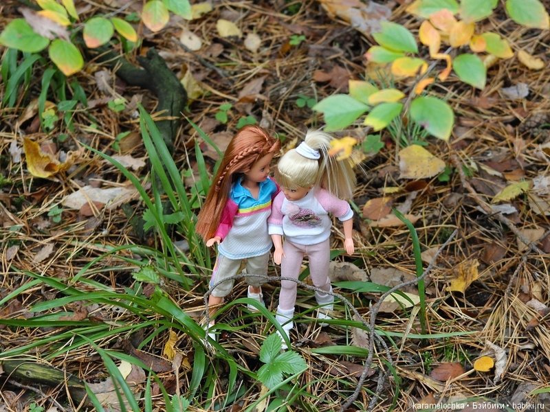 Доигрались. Как заблудиться в лесу, не выходя из дома