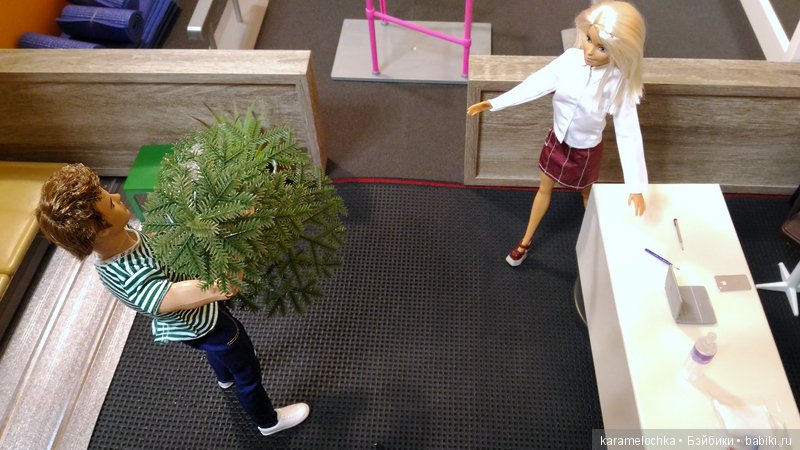 Филипп вернулся с сюрпризом! Украшаем спортзал к Новому Году (фото 4)