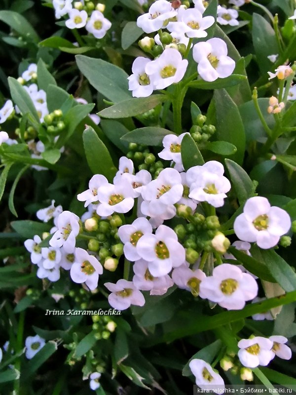 Счастливая Мария в обновках! Подарки от спонсора конкурса (фото 5)