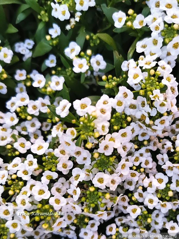 Счастливая Мария в обновках! Подарки от спонсора конкурса (фото 4)