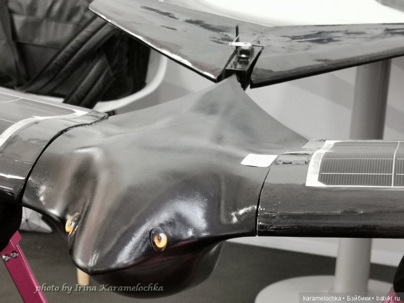 МАКС-2019. Часть 2 «Макеты и миниатюра». Делюсь впечатлениями (фото 5)