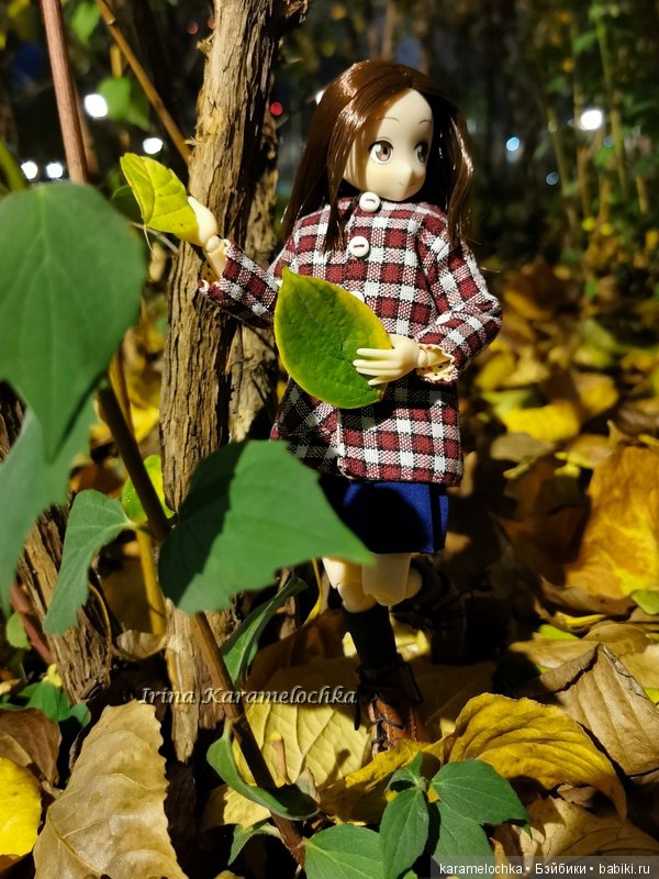 Ухватить ускользающую осень за её пёстрый рыжий хвост