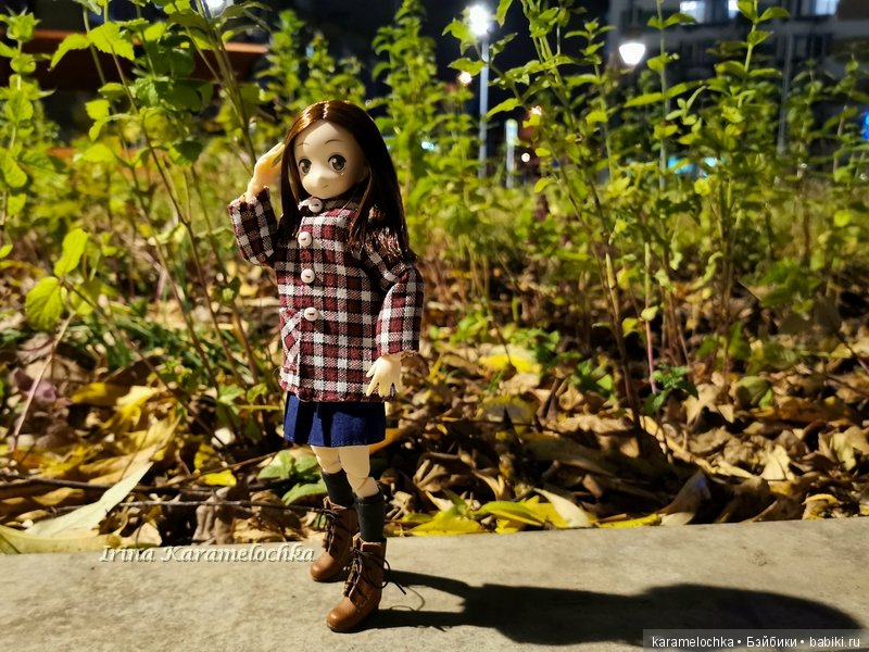 Ухватить ускользающую осень за её пёстрый рыжий хвост (фото 3)