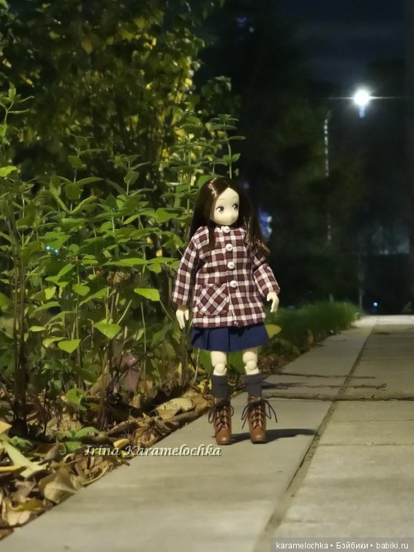 Ухватить ускользающую осень за её пёстрый рыжий хвост (фото 8)