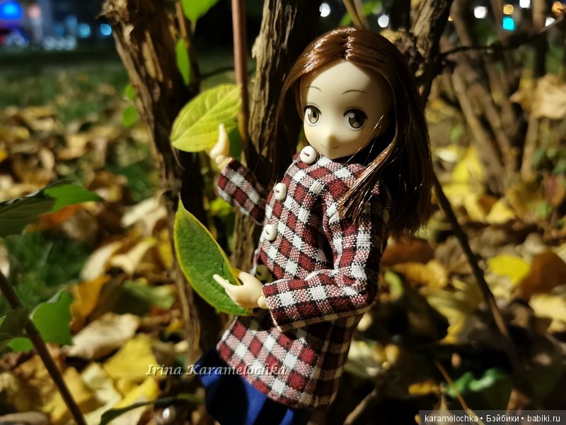 Ухватить ускользающую осень за её пёстрый рыжий хвост