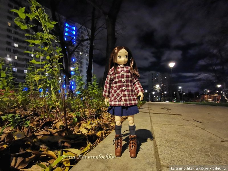 Ухватить ускользающую осень за её пёстрый рыжий хвост