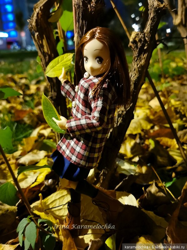 Ухватить ускользающую осень за её пёстрый рыжий хвост