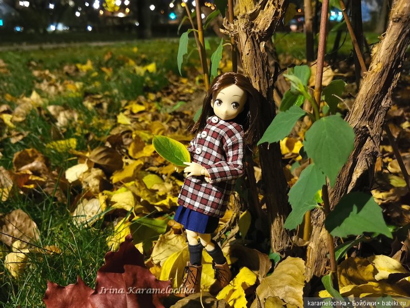 Ухватить ускользающую осень за её пёстрый рыжий хвост (фото 4)