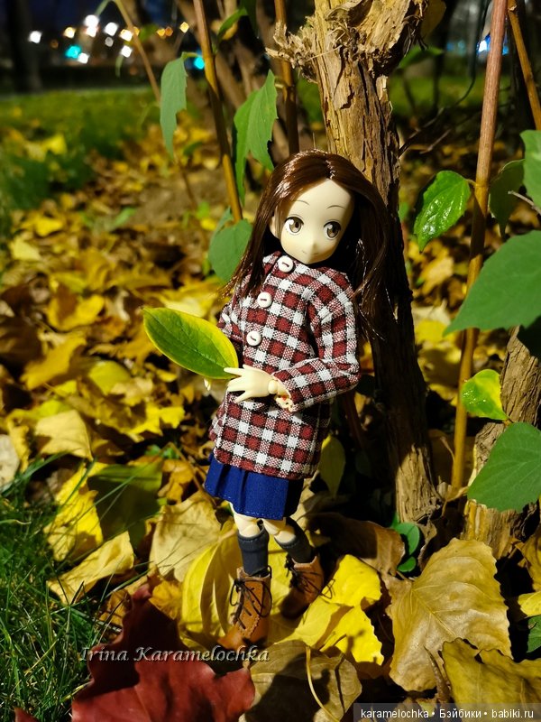 Ухватить ускользающую осень за её пёстрый рыжий хвост (фото 6)