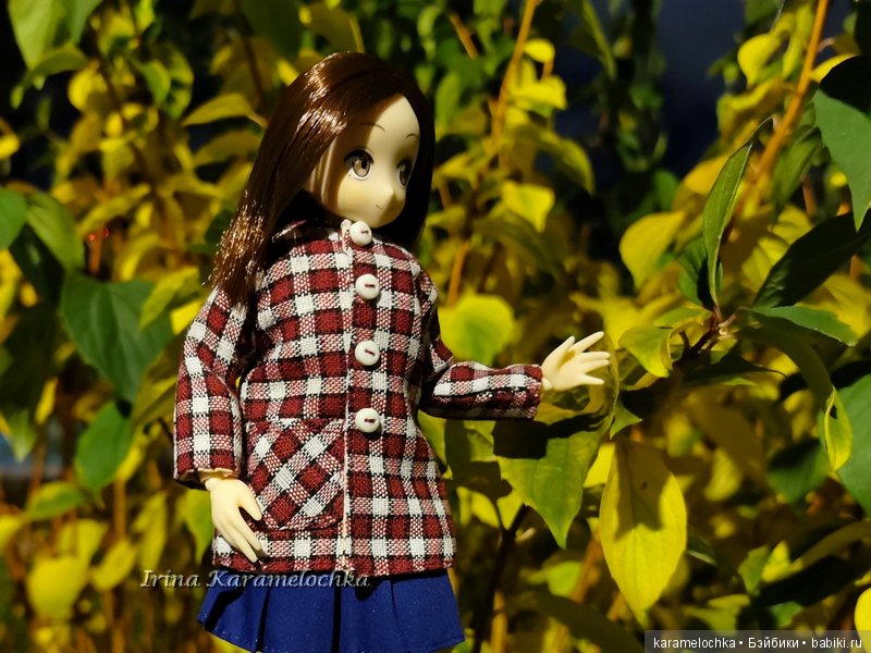 Ухватить ускользающую осень за её пёстрый рыжий хвост (фото 9)