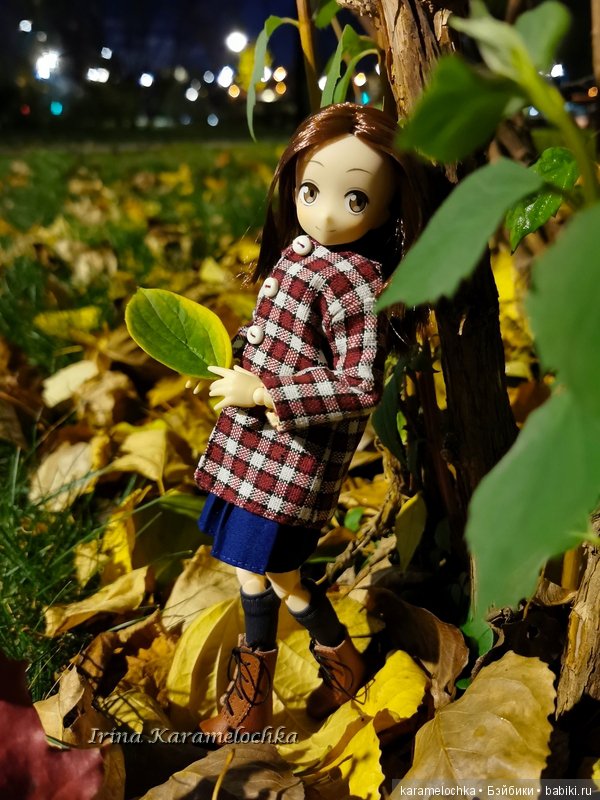 Ухватить ускользающую осень за её пёстрый рыжий хвост (фото 7)