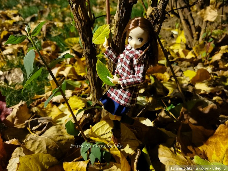 Ухватить ускользающую осень за её пёстрый рыжий хвост (фото 10)