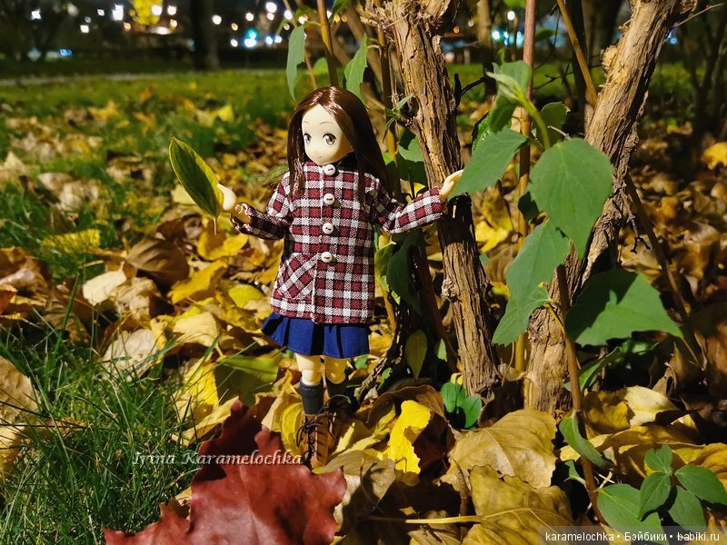 Ухватить ускользающую осень за её пёстрый рыжий хвост (фото 5)