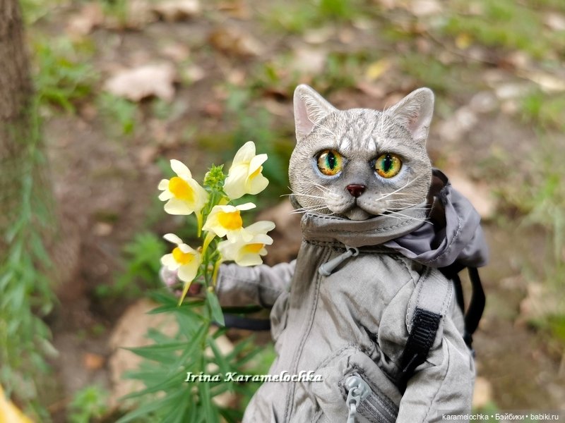 Витамин С, Котяра рекомендует (фото 6)