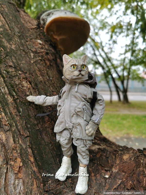 Витамин С, Котяра рекомендует (фото 5)