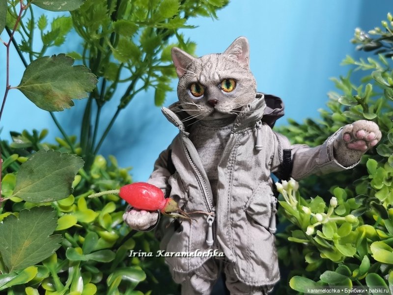 Витамин С, Котяра рекомендует (фото 2)