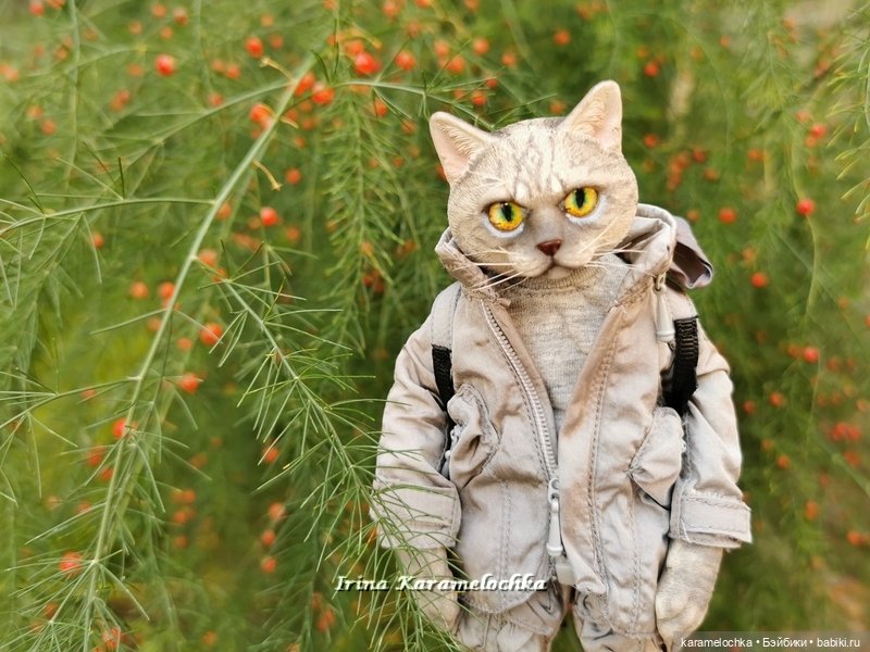Витамин С, Котяра рекомендует (фото 7)