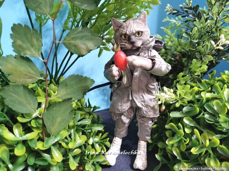 Витамин С, Котяра рекомендует