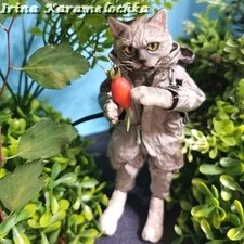 Витамин С, Котяра рекомендует