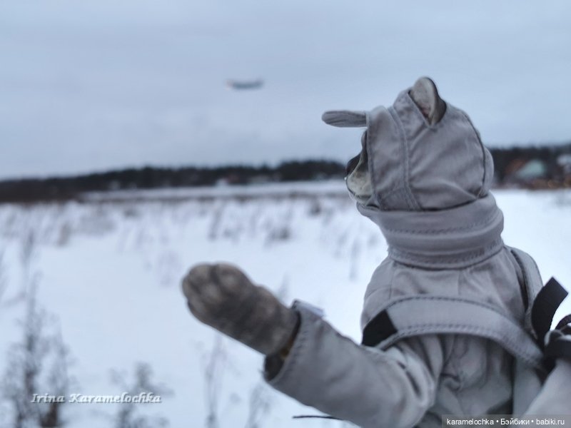 Когда птицы - совсем не те, которых искал