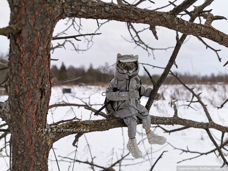 Когда птицы - совсем не те, которых искал (фото 9)