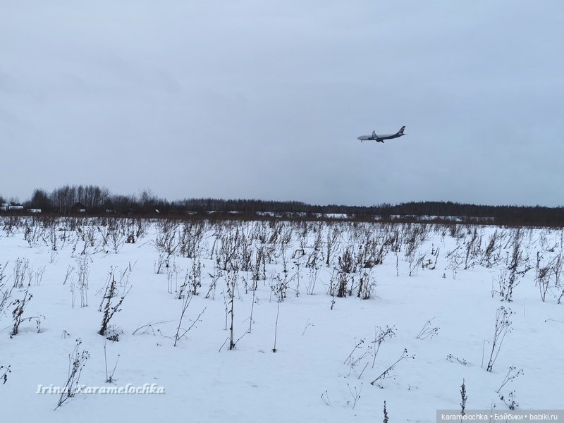 Когда птицы - совсем не те, которых искал