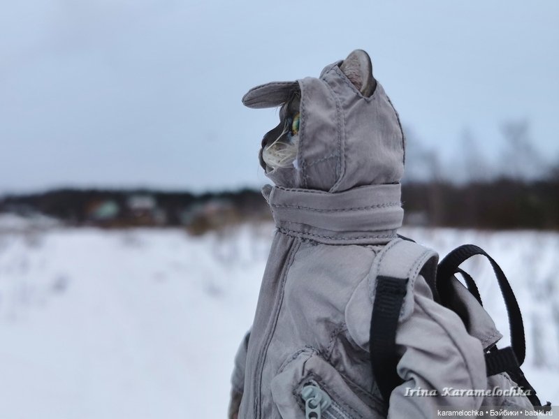 Когда птицы - совсем не те, которых искал (фото 2)