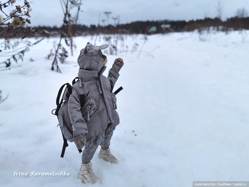 Когда птицы - совсем не те, которых искал