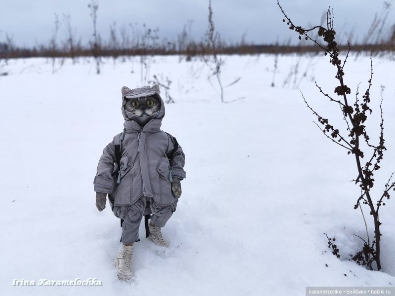 Когда птицы - совсем не те, которых искал (фото 3)