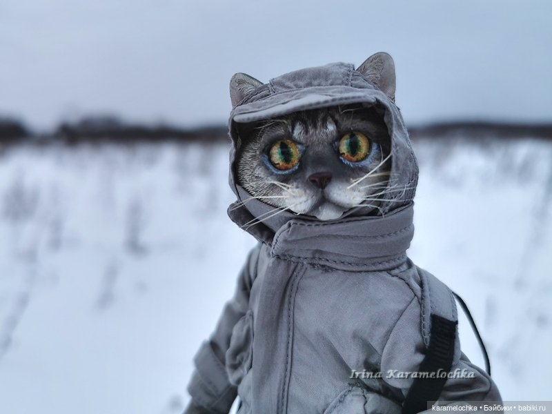 Когда птицы - совсем не те, которых искал