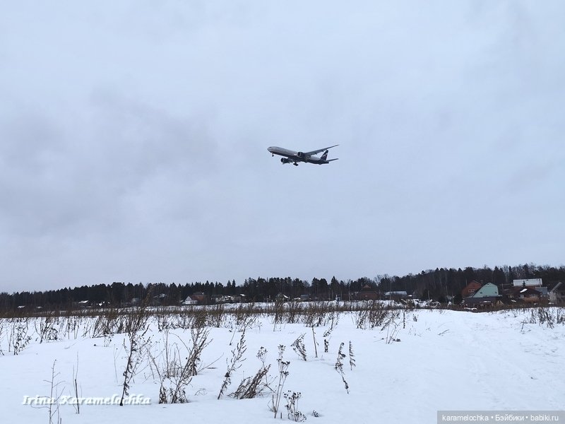 Когда птицы - совсем не те, которых искал