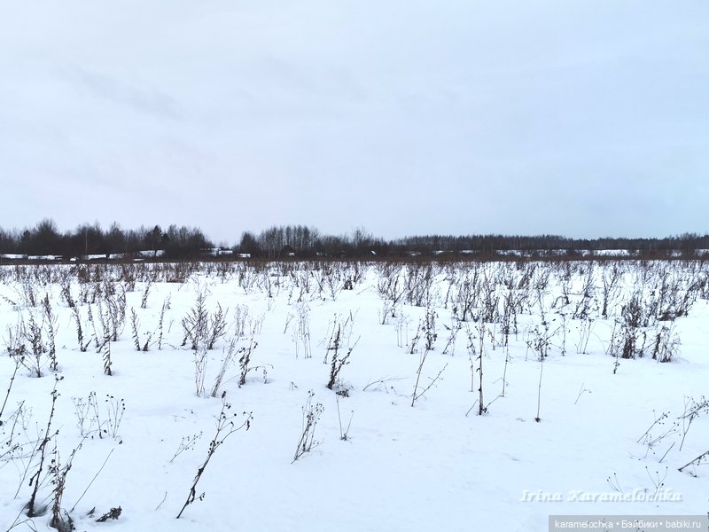 Когда птицы - совсем не те, которых искал (фото 8)