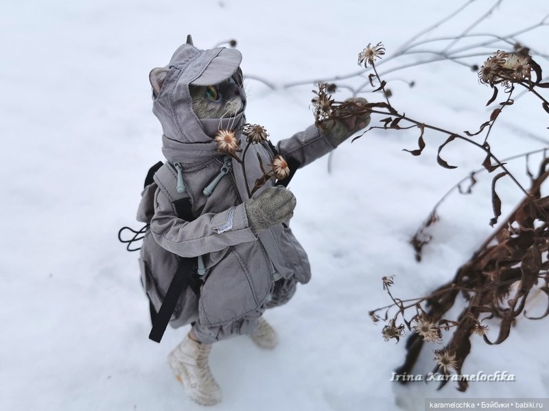 Когда птицы - совсем не те, которых искал (фото 6)