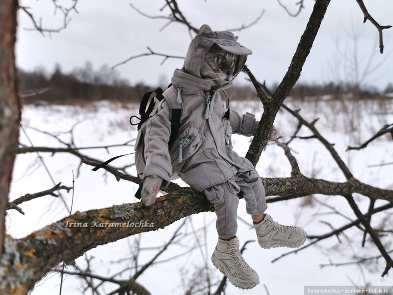 Когда птицы - совсем не те, которых искал (фото 10)