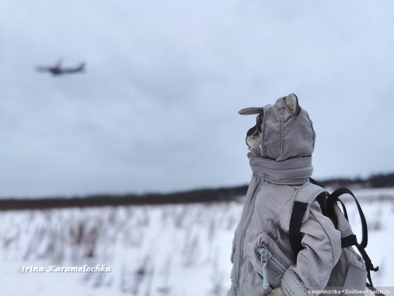 Когда птицы - совсем не те, которых искал