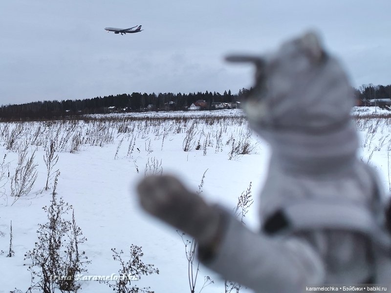 Когда птицы - совсем не те, которых искал