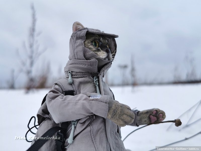 Когда птицы - совсем не те, которых искал (фото 5)