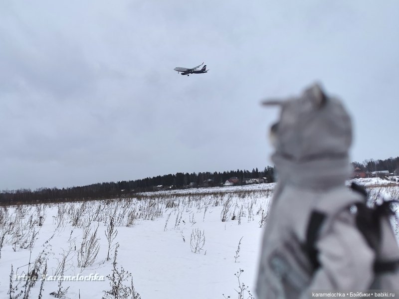 Когда птицы - совсем не те, которых искал