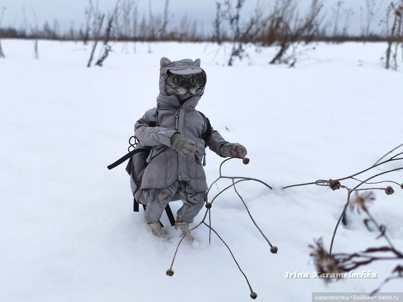 Когда птицы - совсем не те, которых искал (фото 4)