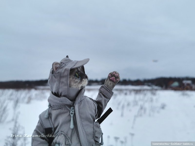 Когда птицы - совсем не те, которых искал