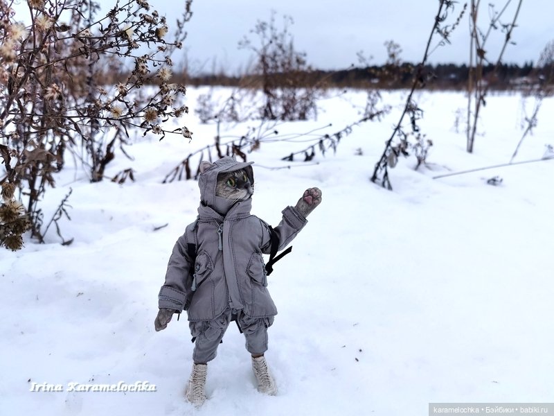 Когда птицы - совсем не те, которых искал