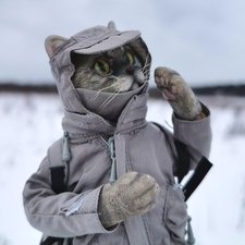 Когда птицы - совсем не те, которых искал