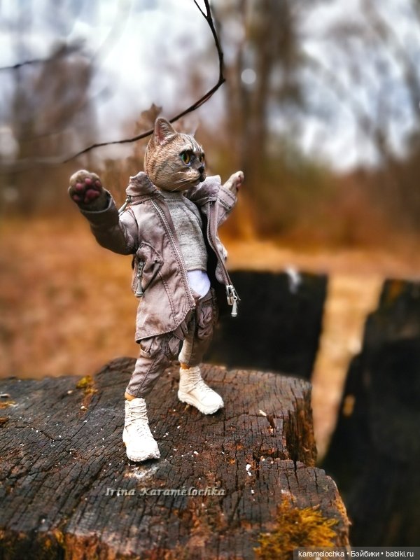 Котяра мартовский, апрельский, майский