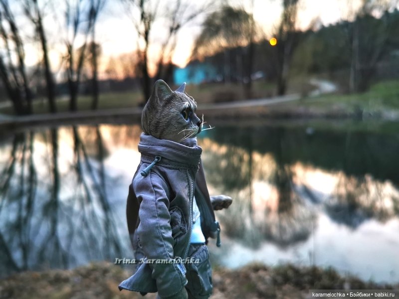 Котяра мартовский, апрельский, майский