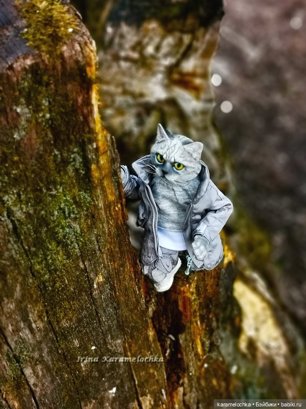 Котяра мартовский, апрельский, майский (фото 10)