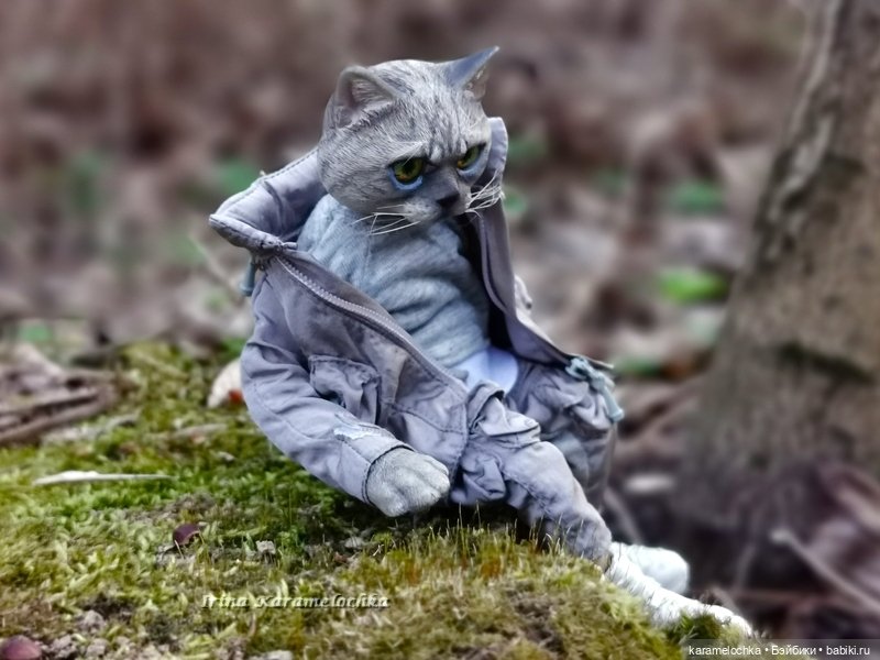 Котяра мартовский, апрельский, майский