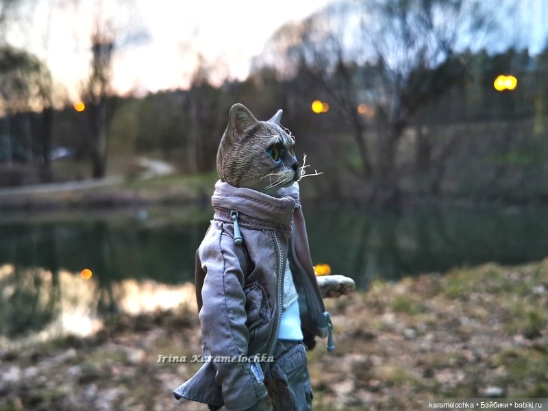 Котяра мартовский, апрельский, майский