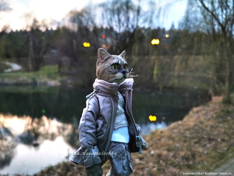 Котяра мартовский, апрельский, майский